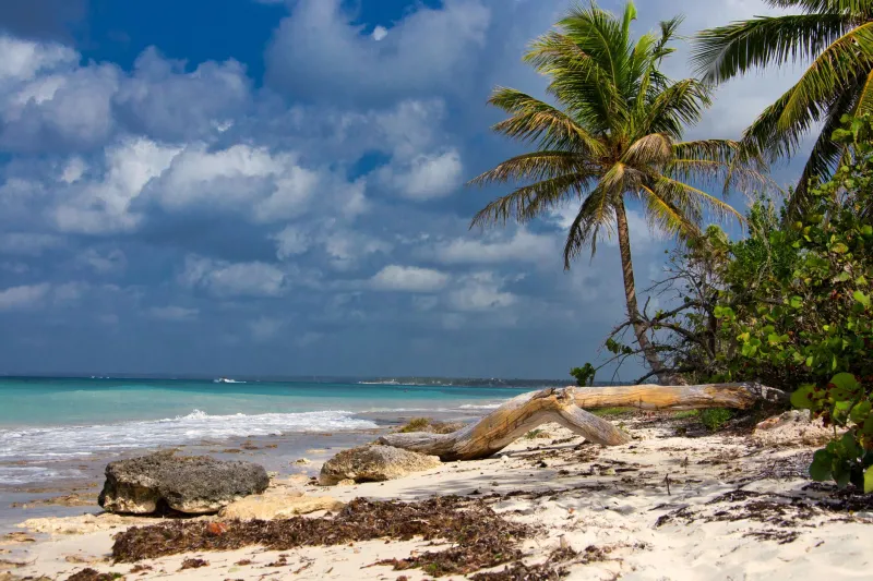 Sold a Dream, Stuck with a Deed: The Hard Truth About Buying Beach Property in the DR