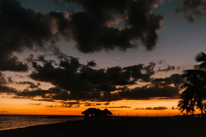 Why That Song Slapped Harder on the Beach: The Dominican Republic's Secret Soundtrack Effect