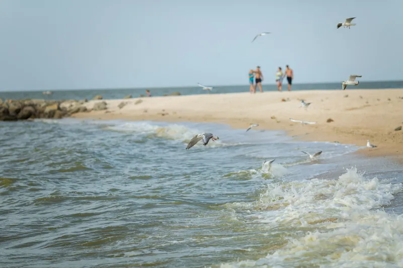 Listen Before You Leap: What Dominican Beach Sounds Are Actually Telling You