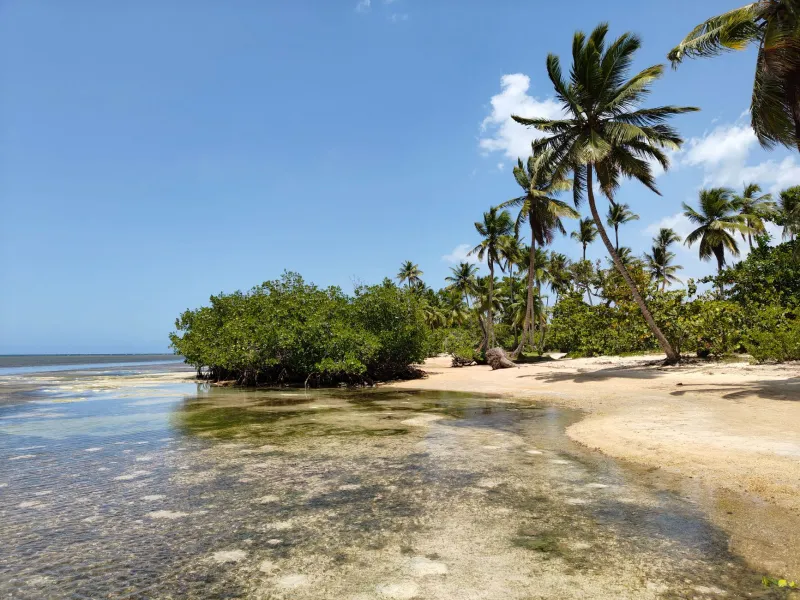 Moon, Tides, and Warm Water: The Science Behind Planning a Perfect Beach Day in the DR