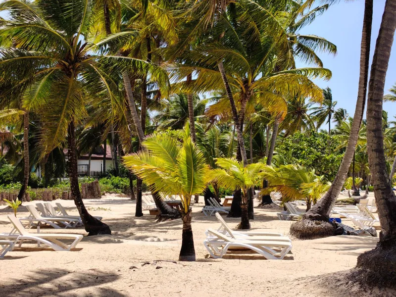 The Real Cost of a Dominican Beach Vacation: What Nobody Tells You Before You Book