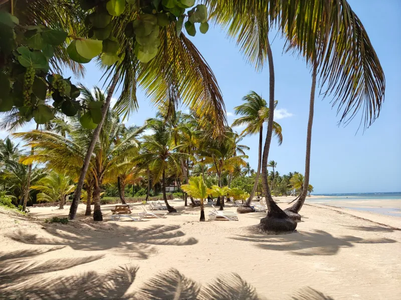 Turn Up or Tune Out: How Sound Shapes the Vibe at Every Dominican Beach